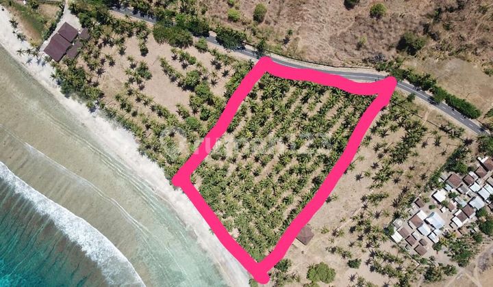 Di Jual Tanah Di Pantai Pandanan Lombok Utara Ntb