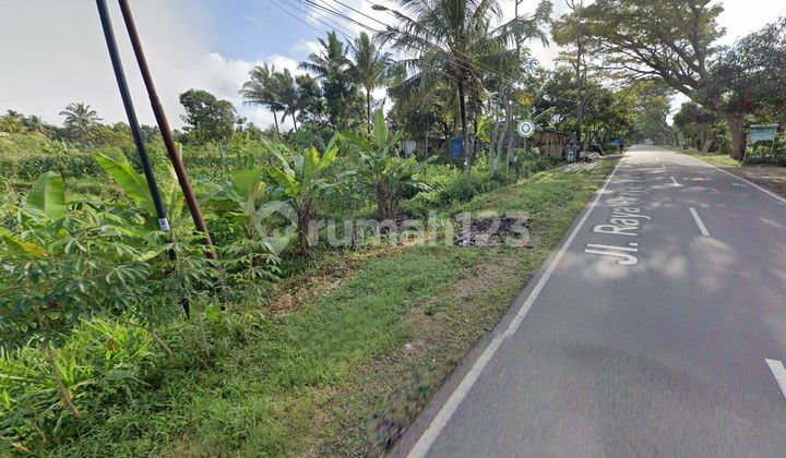 Di Jual Tanah Di Pinggir Jln Raya Praya Montong Terep Lombok Tengah Ntb Pas Buat Gudang,perumahan,kaplingan Di Jual Tanah Di Pinggir Jln Raya Praya Montong Terep Lombok Tengah Ntb Pas Buat Gudang,perumahan,kaplingan