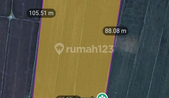 For Sale 32 Acres of Land for Warehouse in Gerung, West Lombok, NTB. For Sale 32 Acres of Land for Warehouse in Gerung, West Lombok, NTB.