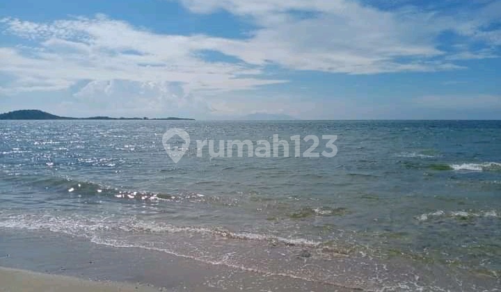 Di Jual Tanah 4 Ha Di Batu Putih Sekotong Barat Lombok Barat Ntb