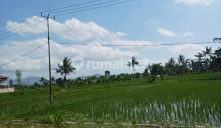 Di Jual Tanah Kaplingan Di Dekat Jl. Puyung, Puyung, Kec. Jonggat, Kabupaten Lombok Tengah,ntb