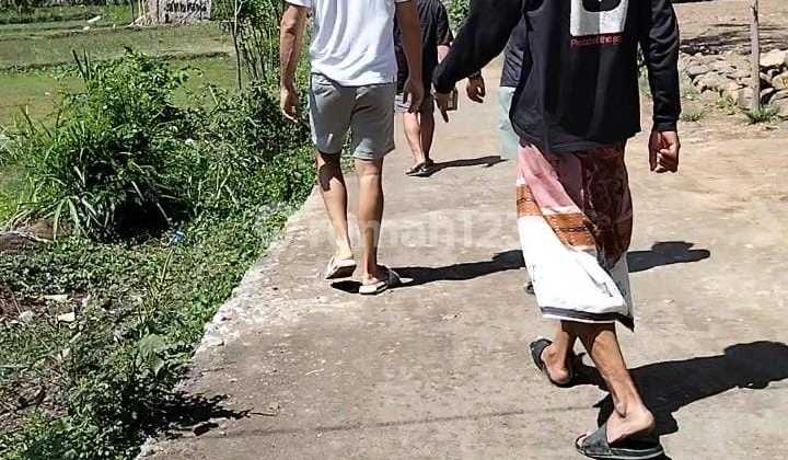 For Rent Land In Are Guling Central Lombok NTB