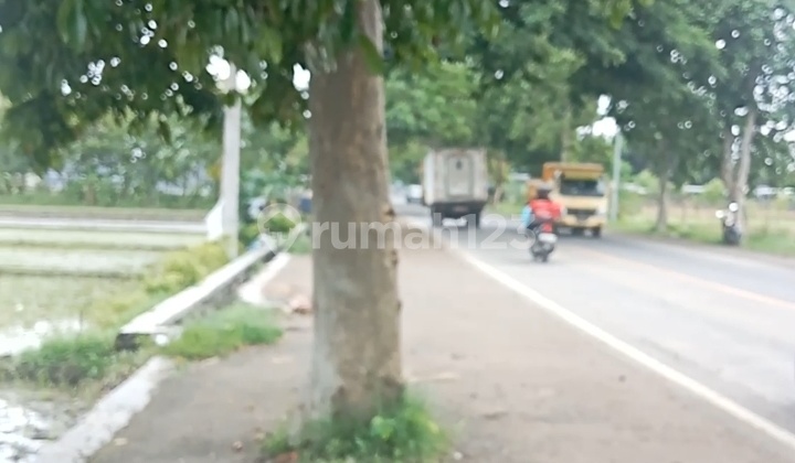 For Sale 32 Acres of Land for Warehouse in Gerung, West Lombok, NTB. For Sale 32 Acres of Land for Warehouse in Gerung, West Lombok, NTB.