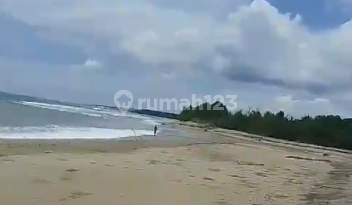 Di Jual Tanah Di Labangka Sumbawa Ntb Untuk Tambak Udang Dll