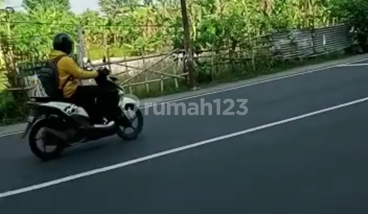 Di Jual Tanah Di Depan Rsup Ntb Di Jual Tanah Di Depan Rsup Ntb