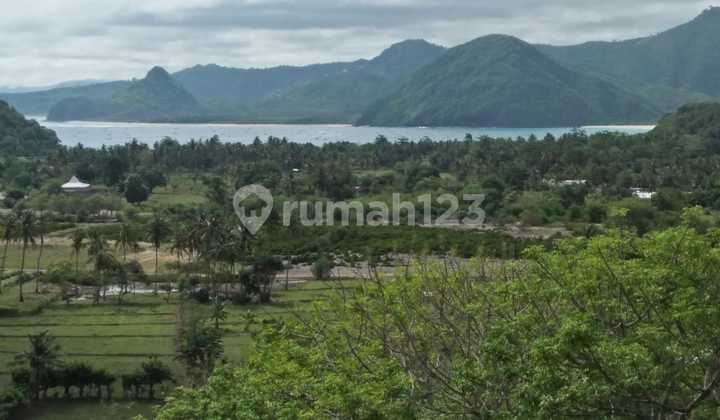 Di Jual Tanah 32 Are Selong Belanak Lombok Tengah Ntb
