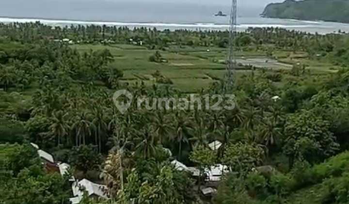 Di Jual Tanah 120 Are Di Tampah Lombok Tengah Ntb