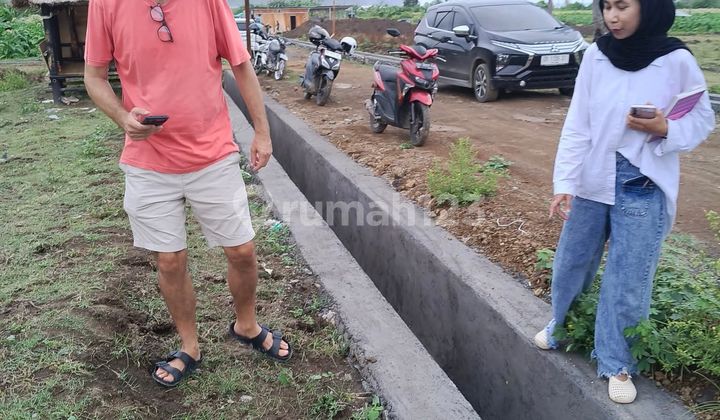 Di Jual Tanah Kavlingan Di Lancing Lombok Tengah Ntb