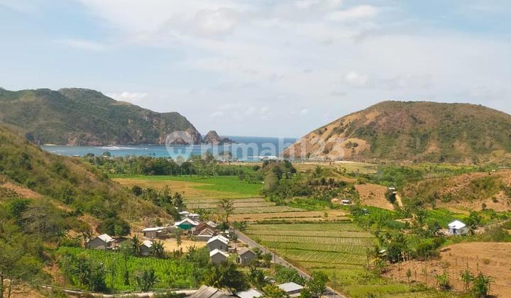 Di Jual Tanah Di Mawun Tumpak Pujut Lombok Tengah Di Jual Tanah Di Mawun Tumpak Pujut Lombok Tengah
