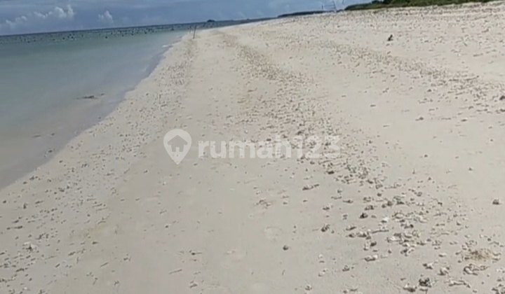 Land for Sale at Cemare Beach, East Lombok