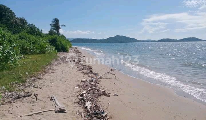 Di Jual Tanah 4 Ha Di Batu Putih Sekotong Barat Lombok Barat Ntb Di Jual Tanah 4 Ha Di Batu Putih Sekotong Barat Lombok Barat Ntb