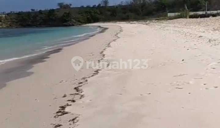 Di Jual Tanah Di Pantai Pink Lombok Timur Ntb Di Jual Tanah Di Pantai Pink Lombok Timur Ntb
