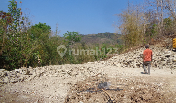 Tanah Dekat Spot Wisata di Jogja Selatan Dekat Hutan Pinus Tanah Dekat Spot Wisata di Jogja Selatan Dekat Hutan Pinus