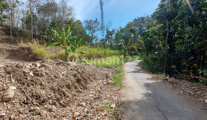 Tanah Termurah di Pleret Bantul Akses Bagus Aspal Sampai Lokasi
