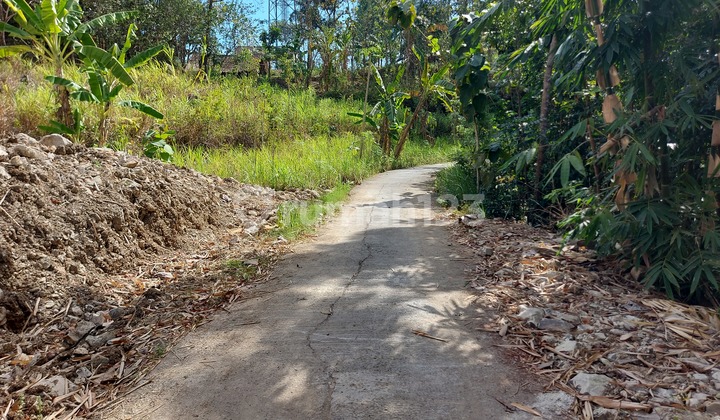 Tanah Kavling Asri di Bukit Pleret Bantul Akses Mudah Aspal Halus