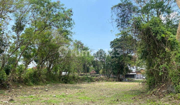 Strategic Land Plot in the Elite Premium Area of Palagan Road, Sleman, Yogyakarta