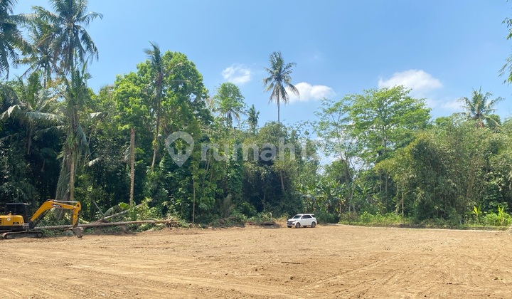 Tanah Kavling Akses Mudah Aspal Halus Dekat Pemda Sleman Jogja