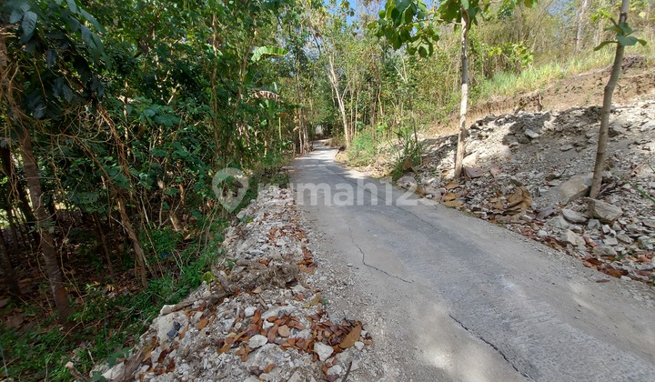 Tanah di Kawasan Asri Pleret Bantul View Alam Menenangkan Jiwa Tanah di Kawasan Asri Pleret Bantul View Alam Menenangkan Jiwa