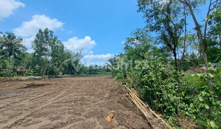 Hunian Sejuk di Pakem Sleman Dekat Dengan Darussalam Academy