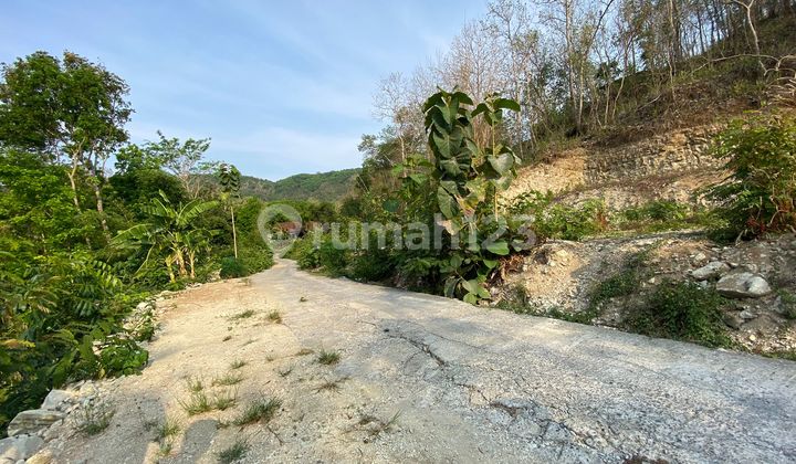 Tanah Dekat Spot Wisata di Jogja Selatan Dekat Hutan Pinus