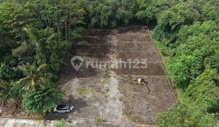 Bangun Hunian di Tengah Area Pemda Sleman Pasti Untung Bangun Hunian di Tengah Area Pemda Sleman Pasti Untung