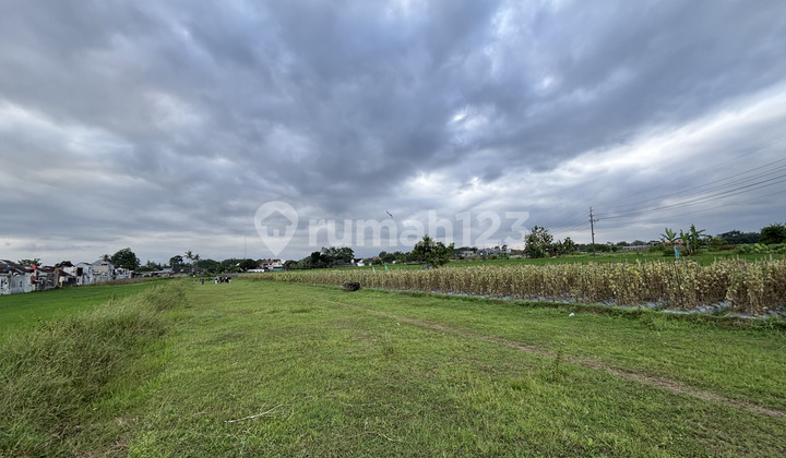 Tanah Godean Area Kampus Umy, Unu, Achmad Yani Cocok Investasi Tanah Godean Area Kampus Umy, Unu, Achmad Yani Cocok Investasi