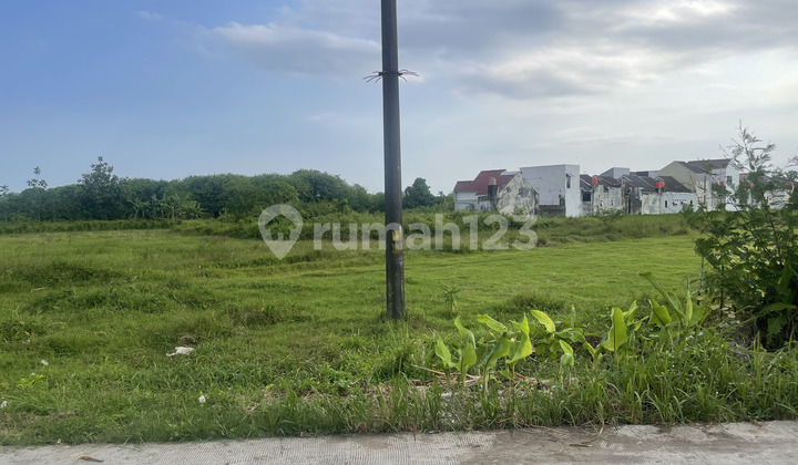 Tanah Jogja Murah Dekat UNU SHM Bisa Cicil Bunga 0% Tanah Jogja Murah Dekat UNU SHM Bisa Cicil Bunga 0%