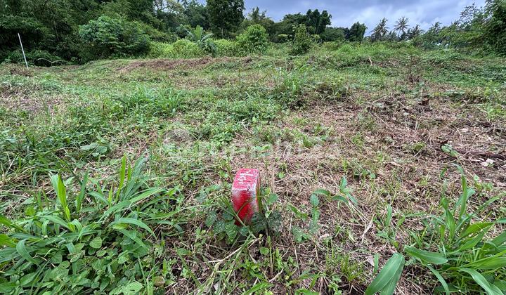 SHM Land in Sleman, West of Kopi Klotok, Ready for AJB, Ready for Construction