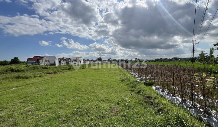 Tanah Jogja 5 Menit ke Ringroad Barat SHM, Bisa Dicicil!