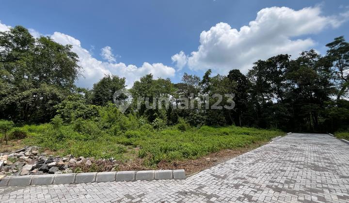 For Sale, Land Near Jogja Solo Road, Around 300 Million, Installments Available. For Sale, Land Near Jogja Solo Road, Around 300 Million, Installments Available.
