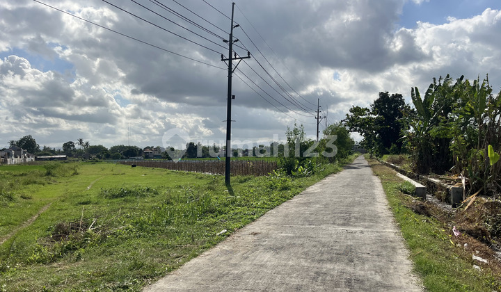 Investasi Murah Tanah Jogja Area Kampus UNU UMY dan Achmad Yani Investasi Murah Tanah Jogja Area Kampus UNU UMY dan Achmad Yani