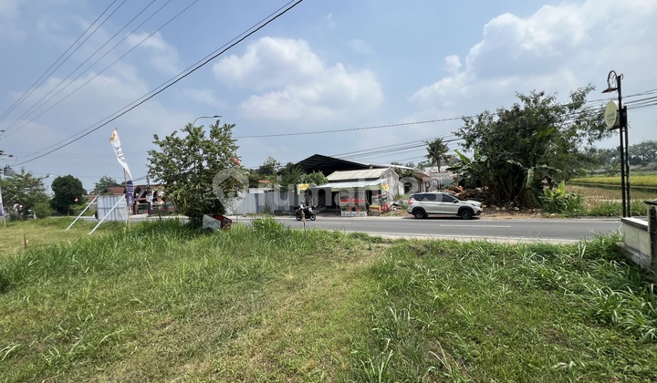 Dekat SCH, Tanah SHMP Bisa Dicicil 5 Menit ke Pemda Sleman! Dekat SCH, Tanah SHMP Bisa Dicicil 5 Menit ke Pemda Sleman!