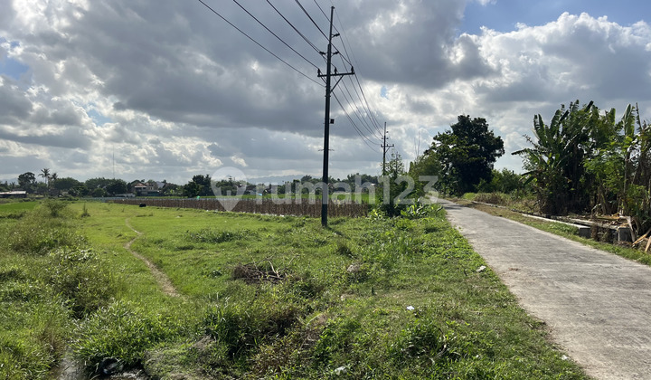 Investasi Murah di Godean Dekat Jl Ringroad Barat Cicilan 0%