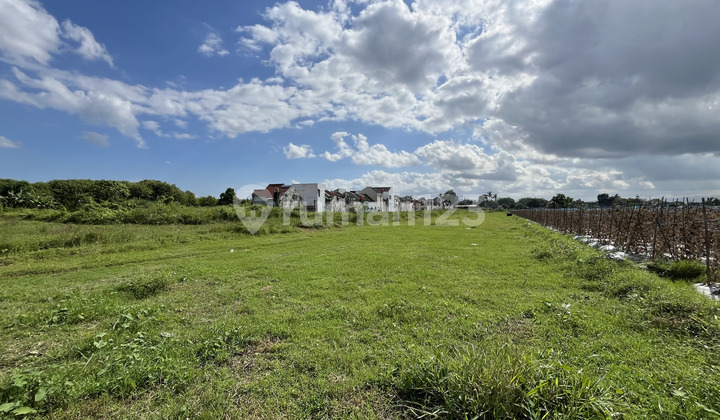 Tanah Siap Bangun, Godean Dekat UMY Cicilan 0% Tanah Siap Bangun, Godean Dekat UMY Cicilan 0%