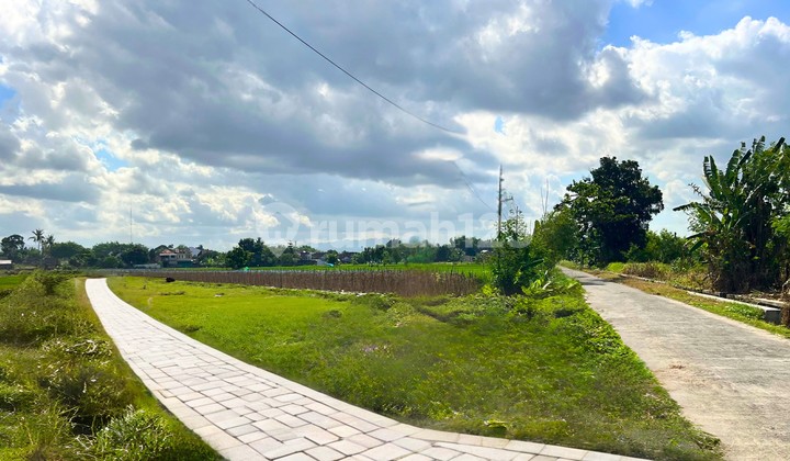 Tanah Sleman Siap Bangun, Dekat Ringroad Barat Cicilan 0% Tanah Sleman Siap Bangun, Dekat Ringroad Barat Cicilan 0%
