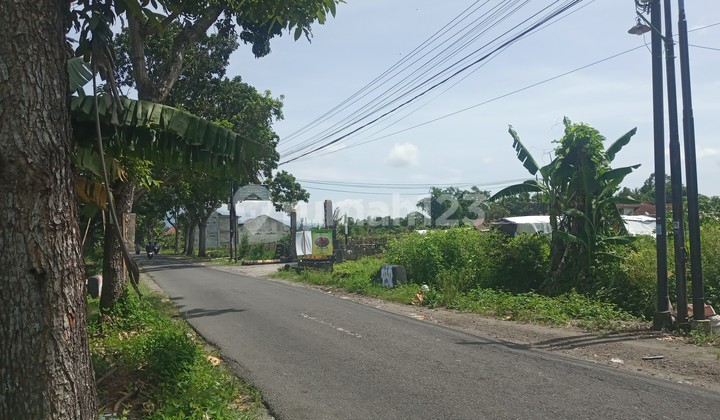 Tanah SHM Jl Selomartani Dekat Stadion Maguwoharjo Cicilan 0%