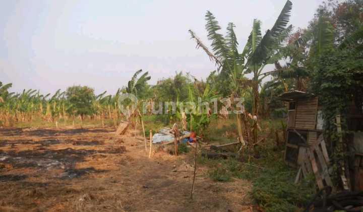 Dijual Tanah Zona Komersial Kav Di Cengkareng , Lingkar Luar, Cengkareng Timur Dijual Tanah Zona Komersial Kav Di Cengkareng , Lingkar Luar, Cengkareng Timur