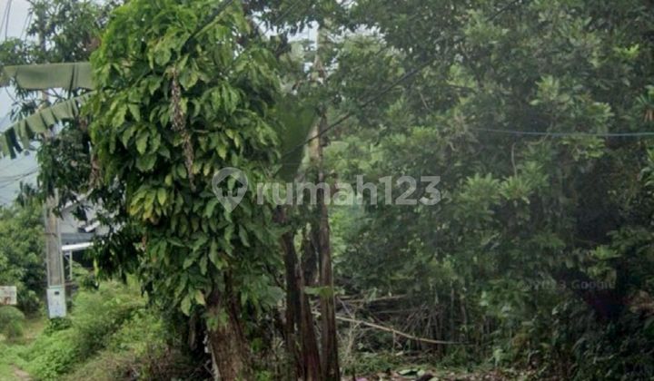 Land for Sale on Jl Jonggol-dayeuh, Sukasirna, Jonggol Subdistrict, Bogor Regency Land for Sale on Jl Jonggol-dayeuh, Sukasirna, Jonggol Subdistrict, Bogor Regency