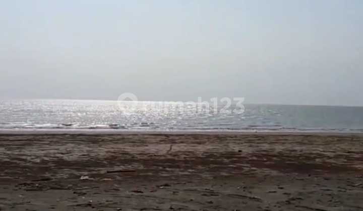 Dijual Tanah Premium Di Pinggir Pantai Jalan Di Tanjung Lesung, Panimbang, Desa Tegal Papak