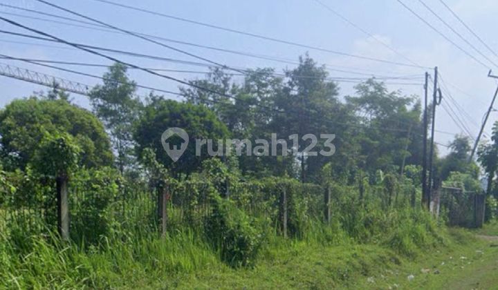 For Sale Land On Jl. Jonggol Cariu, Jonggol District, Bogor Regency, Commercial For Sale Land On Jl. Jonggol Cariu, Jonggol District, Bogor Regency, Commercial