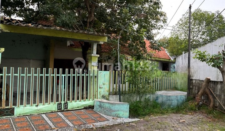Rumah Hitung Tanah Mulyosari Utara Strategis, Row 3 Mobil Dkt Tempurejo, Sutorejo, Mulyorejo, Kenjeran Rumah Hitung Tanah Mulyosari Utara Strategis, Row 3 Mobil Dkt Tempurejo, Sutorejo, Mulyorejo, Kenjeran