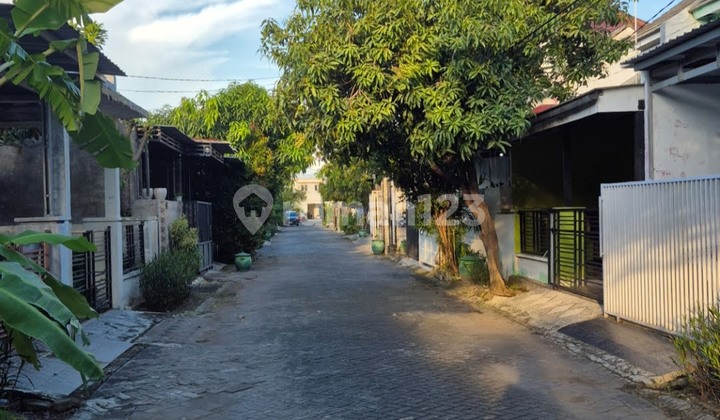 For Sale Grand Semanggi Residence Wonorejo Minimalist Modern, Ready to Live In, Flood-Free Near Merr, Gununganyar, Rungkut 2