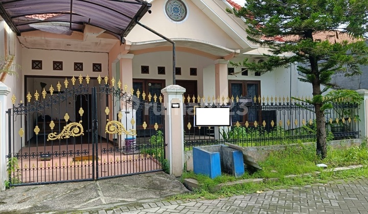 Rumah Merpati Kehutanan Jl Hercules Sedati