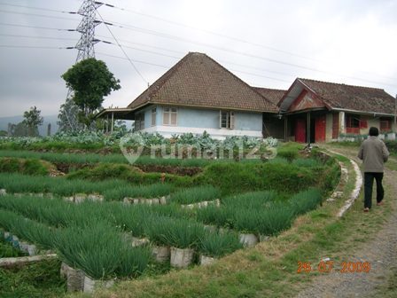 Dijual Cepat Tanah dengan Bangunan Tua Belanda (Jual tanah saja) di Ciwidey