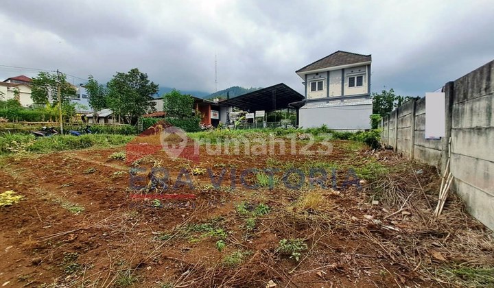 SELL STRATEGIC MOUNTAIN VIEW LAND