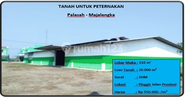 Tanah Untuk Peternakan