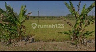 Industrial and Warehousing Land