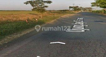 Industrial and Warehouse Land