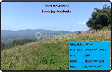 Tanah Untuk Perkebunan
