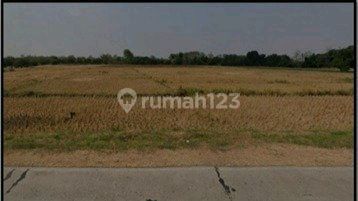 Industrial and Warehouse Land